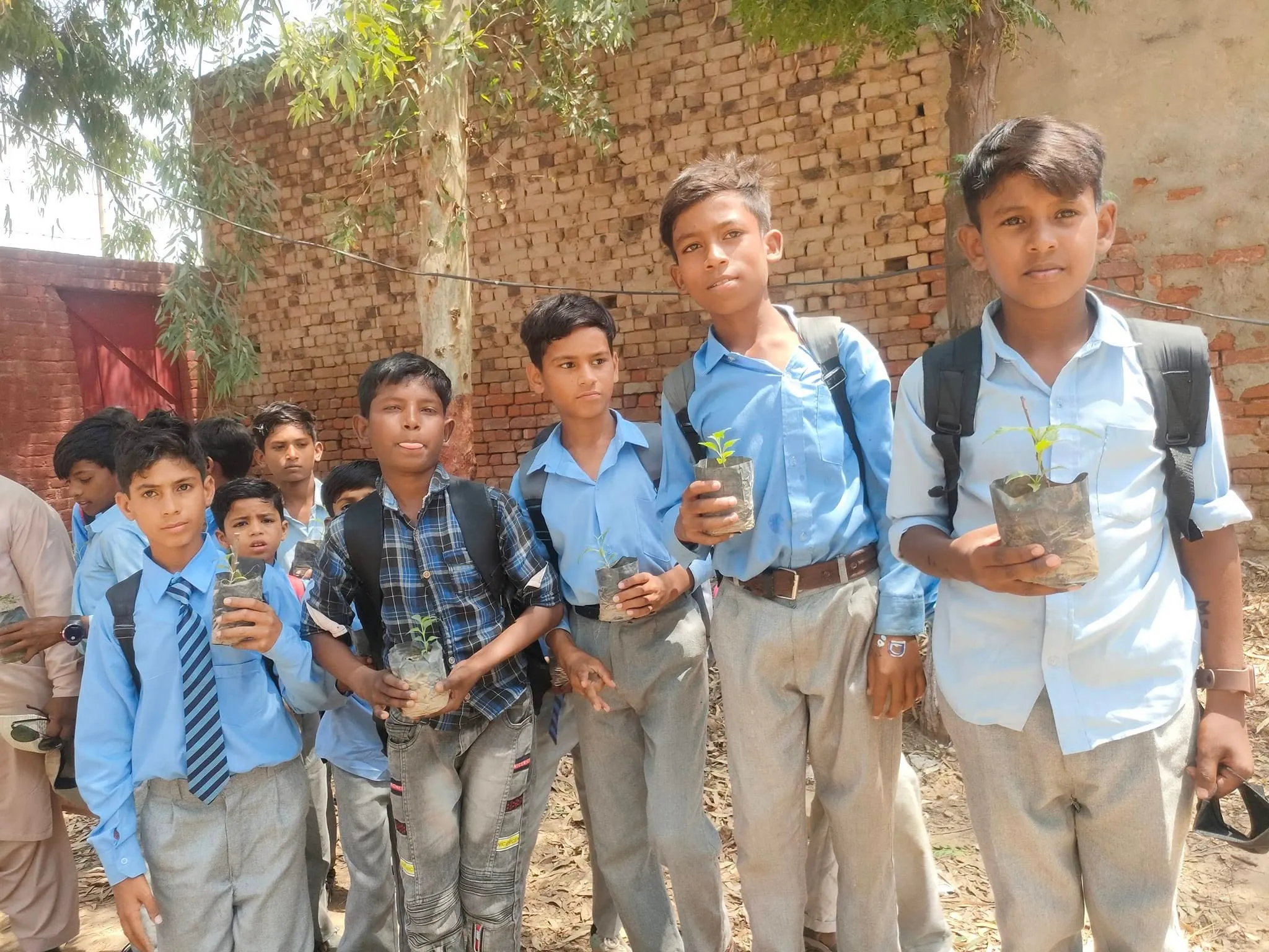 Green Seekers Activity